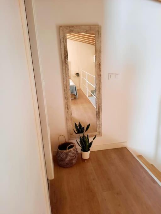 Loft Centrico Con Patio Bodega San Javier Lägenhet Jerez de la Frontera Exteriör bild