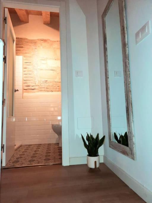 Loft Centrico Con Patio Bodega San Javier Lägenhet Jerez de la Frontera Exteriör bild